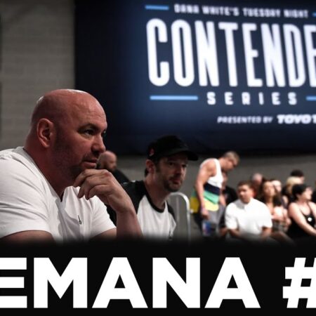 Ветеран Dana White Contender Series 8-0 жестоко нокаутирован джорнименом с 39 поражениями