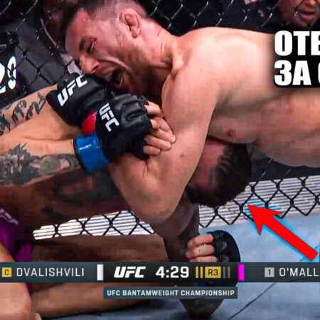 Легенда MMA: Шон О’Мэлли ‘лучше всех остальных’, несмотря на поражение от Двалишвили