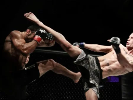 Коэффициенты на ММА в 1Win и 1xbet