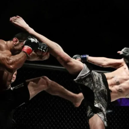 Коэффициенты на ММА в 1Win и 1xbet