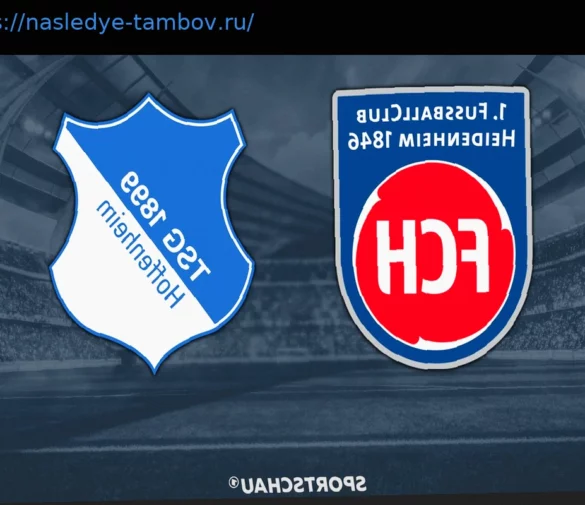 Матч Бундеслиги: 1. ФК Хайденхайм 1846 против 1899 Хоффенхайм